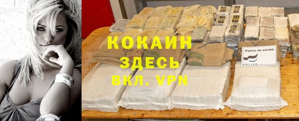 индика Заволжск